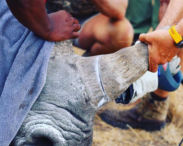 This image for Image Layouts addon